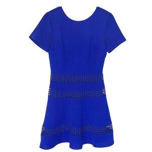Royal Blue Fit and Flare Minidress
